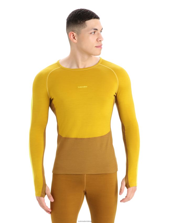 Icebreaker 200 zoneknit merino garo piedurkņu termo tops vīriešiem klusais zelts/krustnagliņa apģērbs 622ZJ410