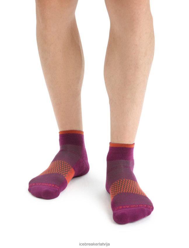 Icebreaker merino multisport vieglas mini zeķes vīriešiem iet ogu/vibrant zeme Piederumi 622ZJ292