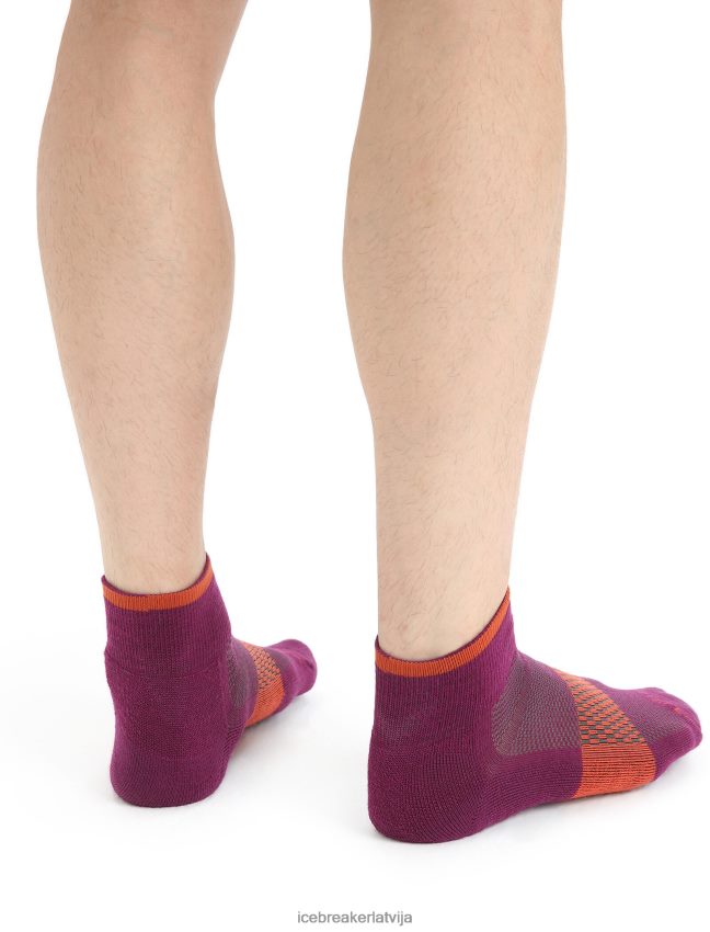 Icebreaker merino multisport vieglas mini zeķes vīriešiem iet ogu/vibrant zeme Piederumi 622ZJ292