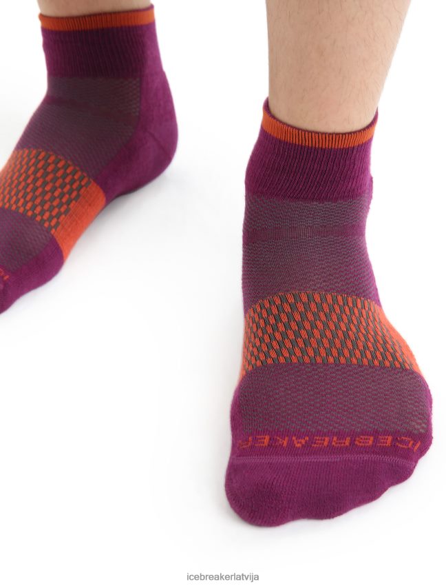 Icebreaker merino multisport vieglas mini zeķes vīriešiem iet ogu/vibrant zeme Piederumi 622ZJ292